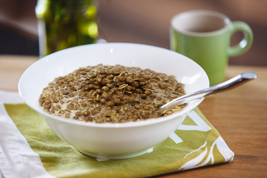 Banana chips business plan introduction picture